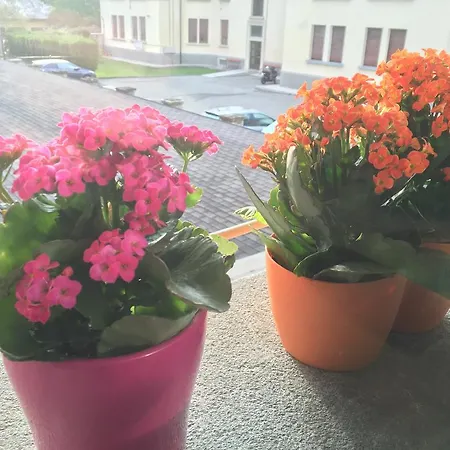 Zar Apartmán Aosta
